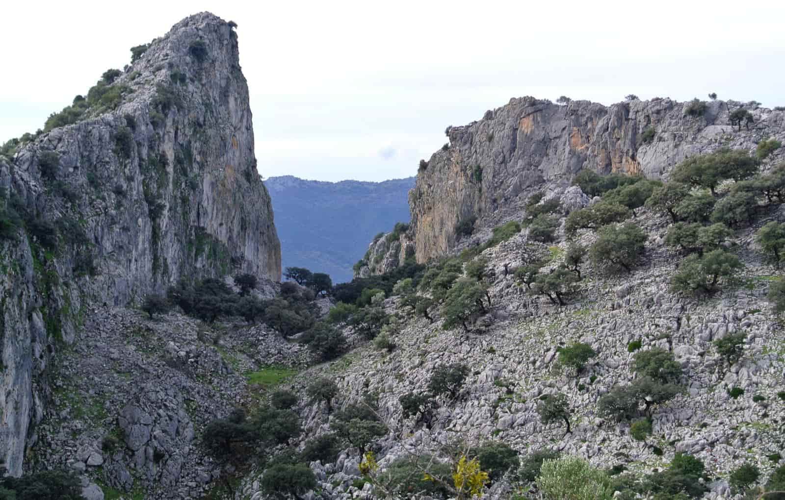 Cabrero